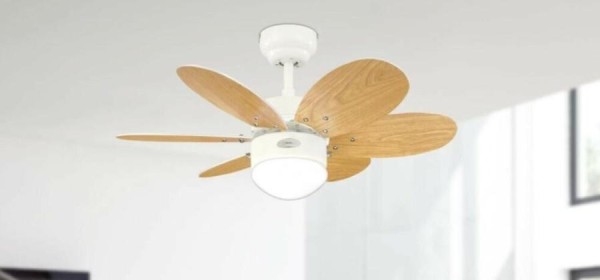The Perfect Ceiling Fan for Winter or Summer that Makes you Happy