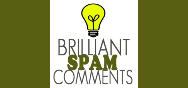 Blog Comment Spam Takes User Engagement to a Totally Different Level!