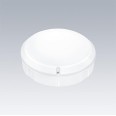 Thorn 96635284 Lara Varioflex 250 IP65 White LED Bulkhead Adjustable CCT and Wattage for Indoor/Outdoor