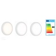IP65 14W 3000K/4000K/5700K CCT Adjustable White Round LED Bulkhead with 3h Maintained Emergency for Wall/Ceiling Lighting