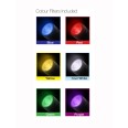 IP65 5W LED 3000K Spike / Surface LED Spotlight in Black with 6 Interchangeable Color Filters