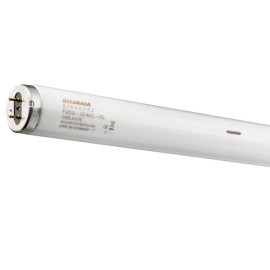 49W T5 3000K 1463mm 830 Warm White Fluorescent Tube Dimmable with High Output