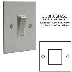 Single Black Brush on a Stainless Steel Flat Plate from Forbes and Lomax for Wall Mounting