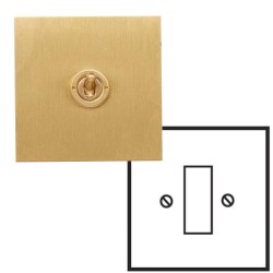 1 Gang Combination Plate in Brushed Brass Flat Plate from Forbes and Lomax