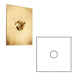 1 Gang 200W Halogen / 0-120W Trailing Edge Rotary LED Dimmer in Aged Brass Plate and Knob by Forbes and Lomax