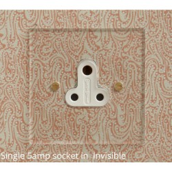1 Gang 5A Unswitched Single Round Pin Socket in Invisible Plate Plate with Plastic Insert