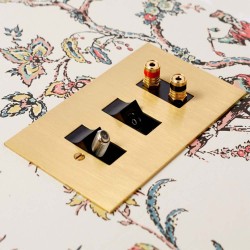 3 Gang Combination Plate in Unlacquered Brass Flat Plate from Forbes and Lomax