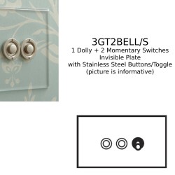 3 Gang Dolly/Momentary Switch Invisible Plate with Stainless Steel: 2 x Momentary Switch and 1 x 2 way 20A Dolly