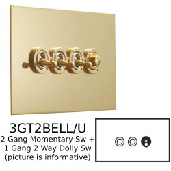 3 Gang Dolly/Momentary Switch Unlacquered Brass Plate and Switch: 2 x Momentary Switch and 1 x 2 way 20A Dolly