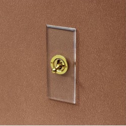 1 Gang Architrave Intermediate Dolly Switch in Invisible Plate with Brushed Brass Dolly