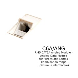 RJ45 CAT6A Angled Module - Angled Data Module for Forbes and Lomax Combination range with a White or Black Trim