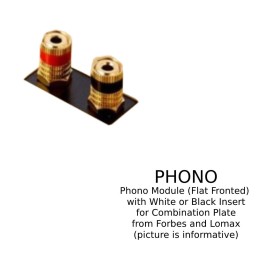 Phono Module (Flat Fronted) with White or Black Insert for Combination Plate from Forbes and Lomax