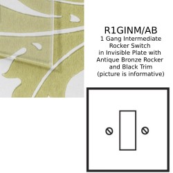 1 Gang 20A Intermediate Rocker Switch in Invisible Plate with Antique Bronze Rocker and Black Trim