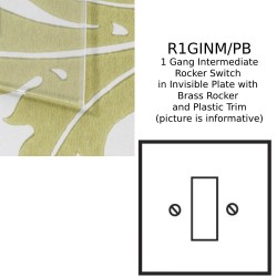 1 Gang 20A Intermediate Rocker Switch in Invisible Plate with Brass Rocker and Plastic Trim