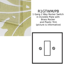 1 Gang 20AX 2 Way Rocker Switch in Invisible Plate with Brass Rocker and Plastic Trim