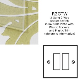 2 Gang 2 Way 20AX Rocker Switch in Invisible Plate with Plastic Rocker and Trim