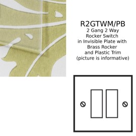 2 Gang 2 Way 20AX Rocker Switch in Invisible Plate with Brass Rocker and Plastic Trim