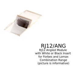 RJ12 Angled Module with White or Black Insert for Combination Plate from Forbes and Lomax