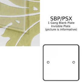 1 Gang Single Blank Plate in Invisible Flat Plate from Forbes and Lomax