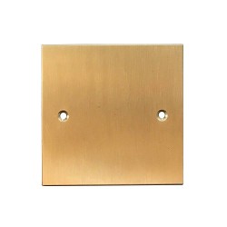 1 Gang Single Blank Plate in Brushed Brass Flat Plate from Forbes and Lomax
