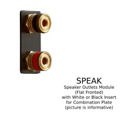 Speaker Outlets Module (Flat Fronted) with White or Black Insert for Combination Plate