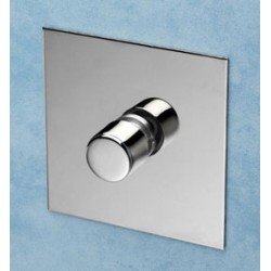 1 Gang 2 Way Push ON/OFF Switch Nickel Silver Plate and Knob from Forbes and Lomax