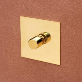 1 Gang Push Intermediate Rotary Switch Unlacquered Brass and Knob Plate Forbes and Lomax
