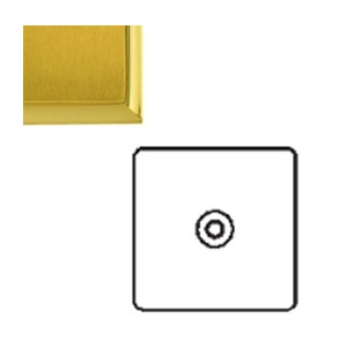 1 Gang TV/Coaxial Isolated Socket, Mayfair range Satin Brass Plate/Polished Brass Edge Stepped Edge Plate White Insert