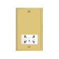 Shaver Socket Dual Output Voltage 110/240V in Polished Brass with White Elite Stepped Flat Plate