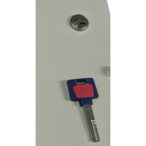 Ryefield Board lock with 1 Ryefield Key - Lock and Key only