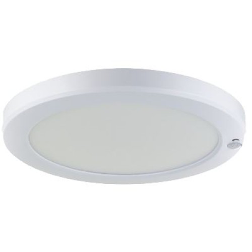 Oversized Downlights (ceiling spots)