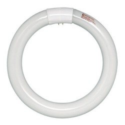 32W Warm White Fluorescent Circular Tube