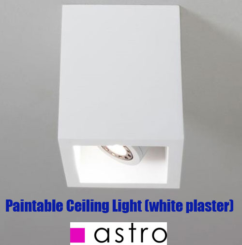 Paintable Ceiling Lights - Surface or Recessed