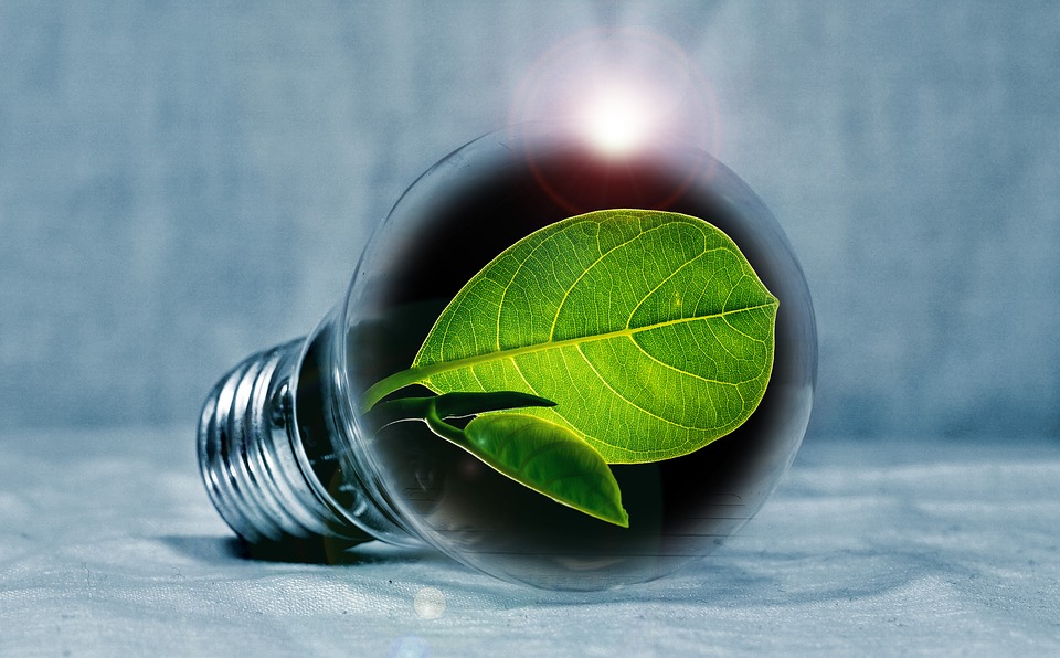 LEDs and the small steps to improving your energy efficiency and helping save the planet