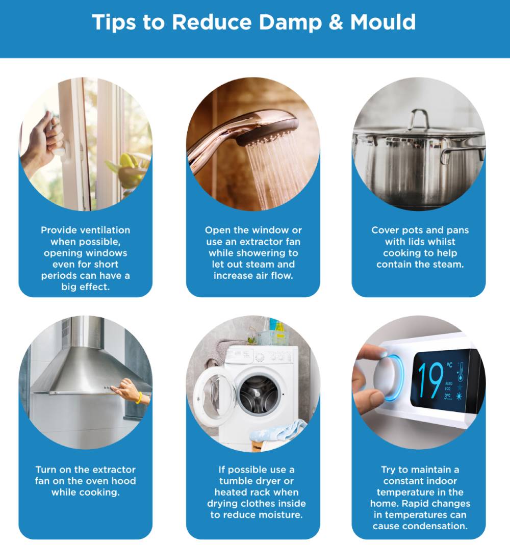 Tips to Reduce Damp and Mould at Home